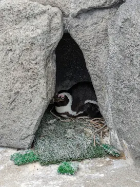 仙台うみの杜水族館に投稿された画像（2024/4/22）