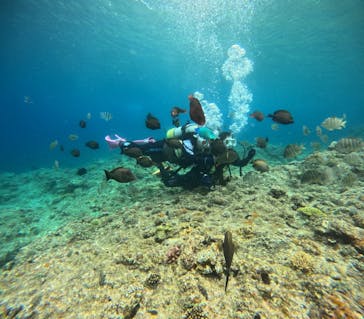 沖縄マリンサービス碧に投稿された画像（2024/4/22）