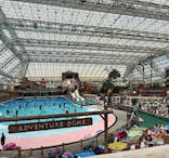 東京サマーランドに投稿された画像（2024/4/22）