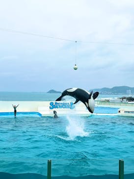 鴨川シーワールドに投稿された画像（2024/4/22）