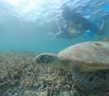 宮古島 ADVENTURE PiPi（ミヤコジマ アドベンチャー ピピ）に投稿された画像（2024/4/22）