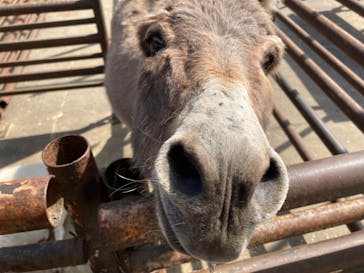 宇都宮動物園に投稿された画像（2024/4/22）