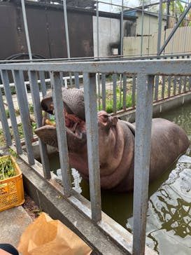 宇都宮動物園に投稿された画像（2024/4/22）