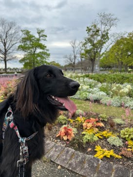 浜名湖花博2024に投稿された画像（2024/4/22）