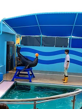 竹島水族館に投稿された画像（2024/4/22）