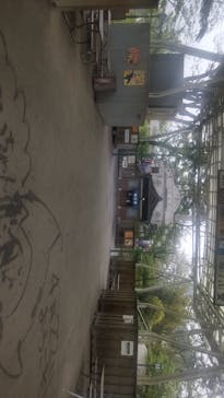 西武園ゆうえんちに投稿された画像（2024/4/22）