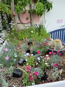 浜名湖花博2024に投稿された画像（2024/4/22）