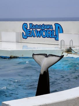 鴨川シーワールドに投稿された画像（2024/4/22）