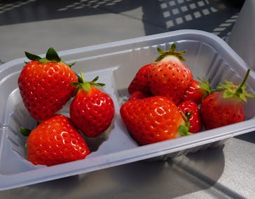 ICHIGOHOUSE.MITAKAに投稿された画像（2024/4/22）