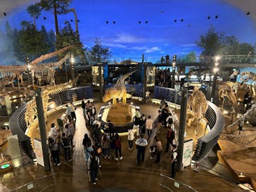 福井県立恐竜博物館に投稿された画像（2024/4/22）