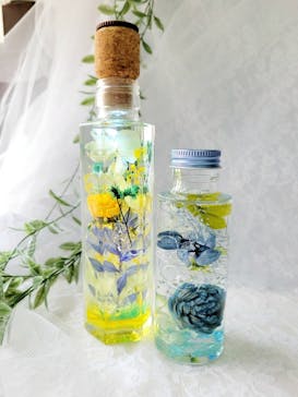 ずこうしつ〜sugamo〜に投稿された画像（2024/4/22）