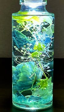 ずこうしつ〜sugamo〜に投稿された画像（2024/4/22）