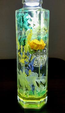 ずこうしつ〜sugamo〜に投稿された画像（2024/4/22）