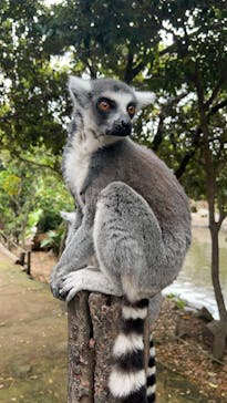 神戸どうぶつ王国に投稿された画像（2024/4/22）