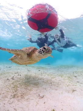 宮古島マリン GB QUESTに投稿された画像（2024/4/22）