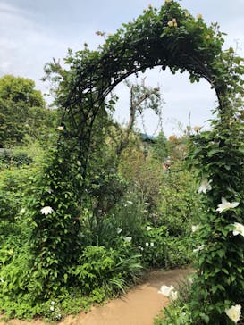 横浜イングリッシュガーデンに投稿された画像（2024/4/22）