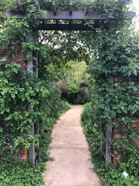 横浜イングリッシュガーデンに投稿された画像（2024/4/22）