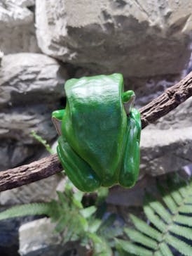 DMMかりゆし水族館に投稿された画像（2024/4/22）
