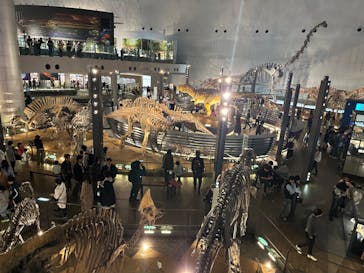 福井県立恐竜博物館に投稿された画像（2024/4/23）