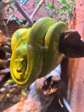 体感型動物園iZooに投稿された画像（2024/4/23）