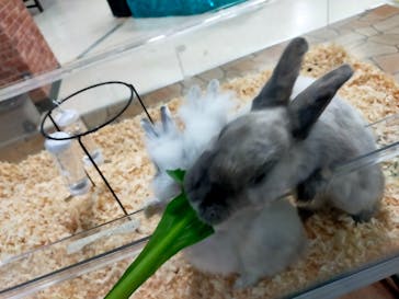 いきもの探検隊上尾に投稿された画像（2024/4/23）