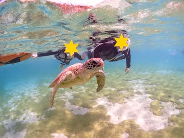 CHAMP TOUR　宮古島に投稿された画像（2024/4/23）