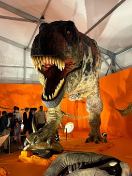 オダイバ恐竜博覧会2024 -福井から“ヤツラ”が新幹線でやってくる！-に投稿された画像（2024/4/23）