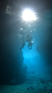 武藤潜水に投稿された画像（2024/4/23）