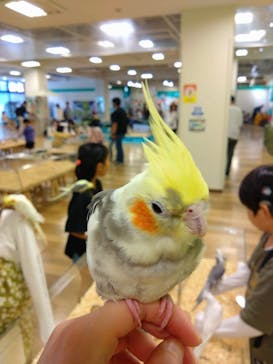 いきもの探検隊湘南に投稿された画像（2024/4/23）