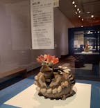 特別展「古代メキシコ ーマヤ、アステカ、テオティワカン」に投稿された画像（2024/4/23）