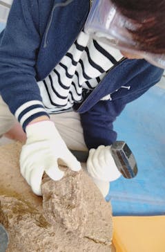 オダイバ恐竜博覧会2024 -福井から“ヤツラ”が新幹線でやってくる！-に投稿された画像（2024/4/23）