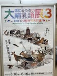 特別展「大哺乳類展３－わけてつなげて大行進」に投稿された画像（2024/4/23）
