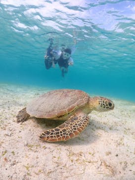 宮古島マリンショップSmileyに投稿された画像（2024/4/23）