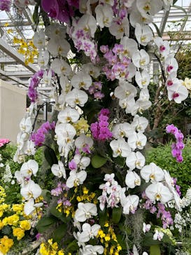 浜名湖花博2024に投稿された画像（2024/4/23）