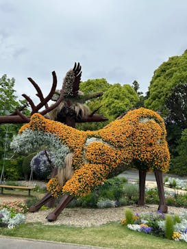 浜名湖花博2024に投稿された画像（2024/4/23）