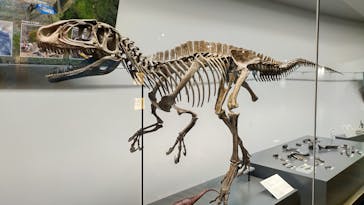 福井県立恐竜博物館に投稿された画像（2024/4/23）