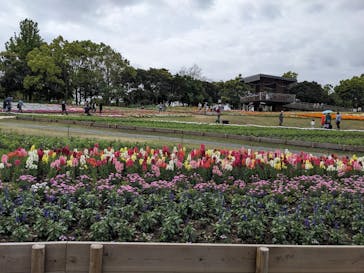浜名湖花博2024に投稿された画像（2024/4/23）