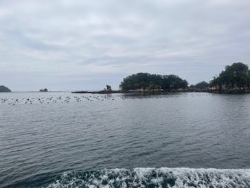 九十九島遊覧船に投稿された画像（2024/4/23）