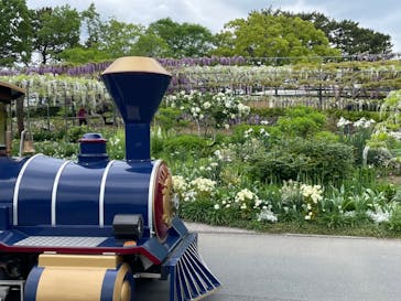 浜名湖花博2024に投稿された画像（2024/4/23）