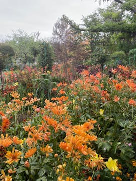 浜名湖花博2024に投稿された画像（2024/4/23）