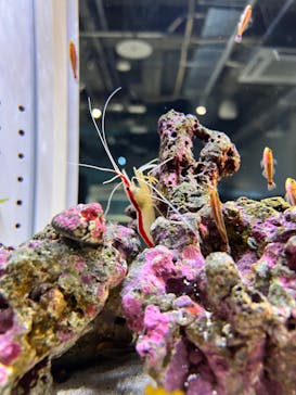 AOAO SAPPOROに投稿された画像（2024/4/23）