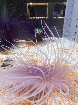 AOAO SAPPOROに投稿された画像（2024/4/23）