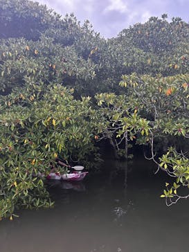 石垣島 ADVENTURE PiPi（イシガキジマアドベンチャーピピ）に投稿された画像（2024/4/23）