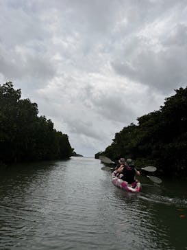 石垣島 ADVENTURE PiPi（イシガキジマアドベンチャーピピ）に投稿された画像（2024/4/23）