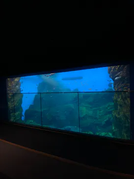 仙台うみの杜水族館に投稿された画像（2024/4/23）
