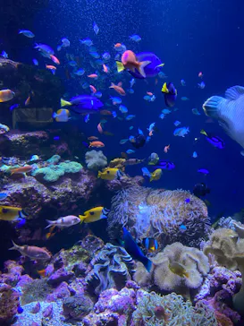 仙台うみの杜水族館に投稿された画像（2024/4/23）