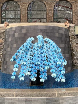 浜名湖花博2024に投稿された画像（2024/4/23）