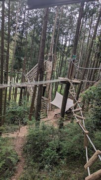 フォレストアドベンチャー・新城に投稿された画像（2024/4/24）