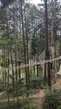 フォレストアドベンチャー・新城に投稿された画像（2024/4/24）