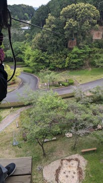 フォレストアドベンチャー・新城に投稿された画像（2024/4/24）